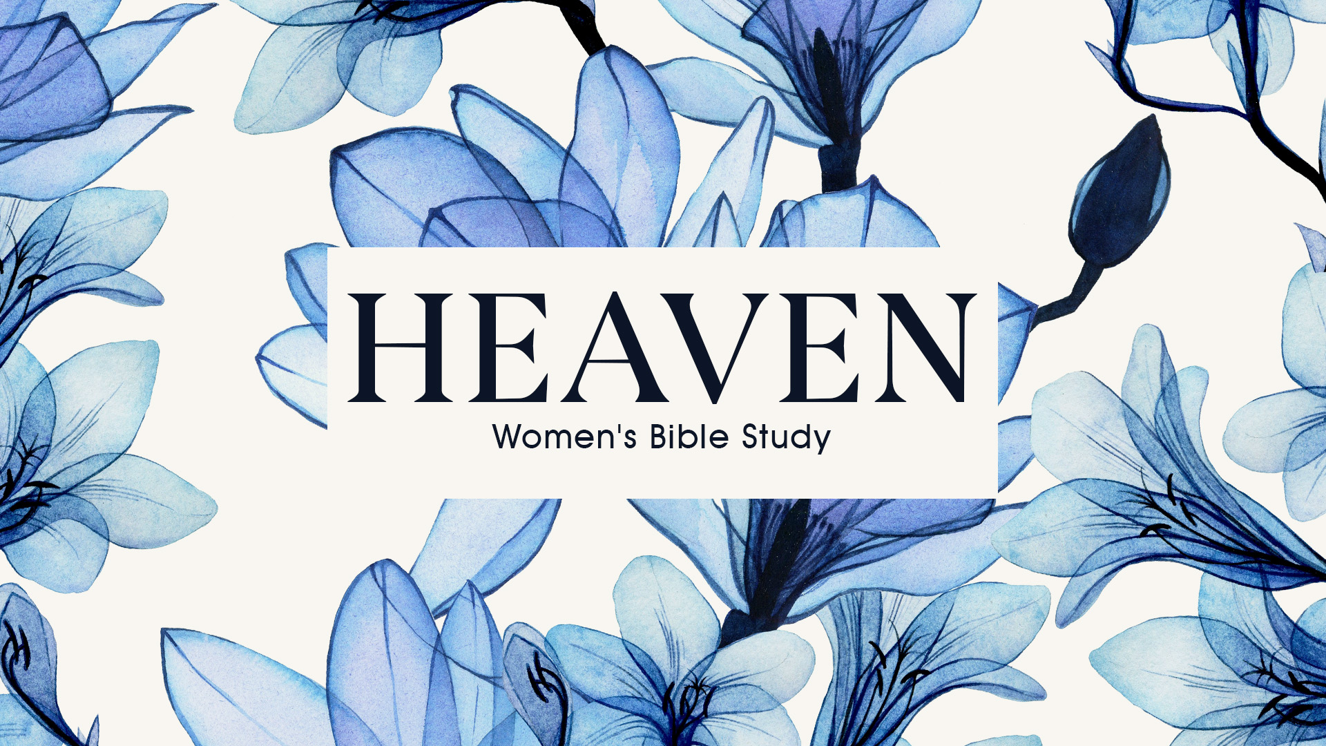 Women's Bible Study 